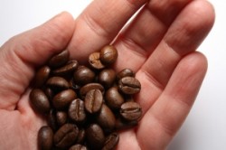 cafeine anhydrous phenq ingredient
